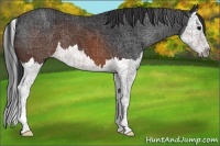 Horse Color:Brown Splash