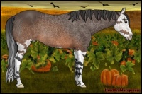 Horse Color:Brown Splash