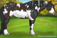Horse Color:White Spotted Brown Frame 