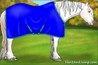 Horse Color:White Spotted Gold Champagne Appaloosa 