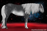 Horse Color:Silver Brown Chinchilla Rabicano