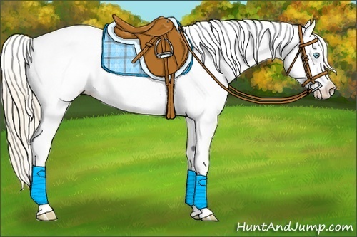 Horse Color:Perlino Roan Varnish