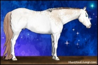 Horse Color:White Spotted Buckskin Pearl Dun Rabicano