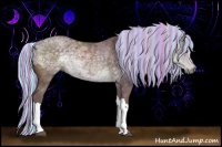 Horse Color:Painted Chocolate Silver Black Chinchilla Ice 