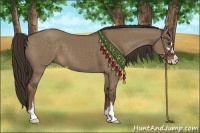 Horse Color:Liver Red Dun Sabino 