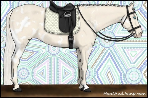 Horse Color:White Spotted Cremello 