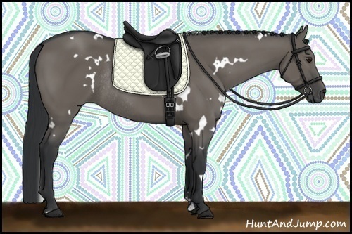 Horse Color:White Spotted Grullo Sabino Rabicano