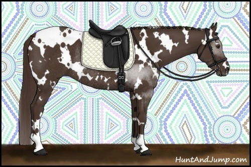Horse Color:White Spotted Liver Chestnut Rabicano 