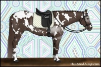 Horse Color:White Spotted Liver Chestnut Rabicano 