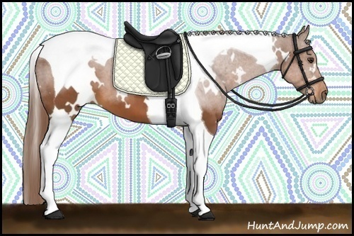 Horse Color:White Spotted Chestnut Tobiano