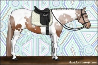 Horse Color:White Spotted Chestnut Tobiano 