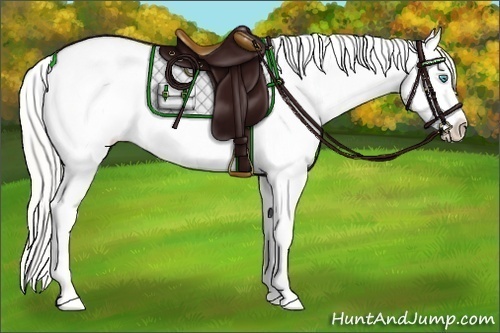 Horse Color:Cremello Sabino Appaloosa Rabicano