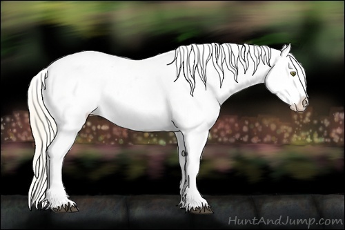 Horse Color:Palomino Dun Appaloosa and Palomino Dun Appaloosa Rabicano