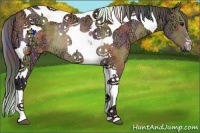 Horse Color:Nacre Brown Ice Dun Tobiano Rabicano