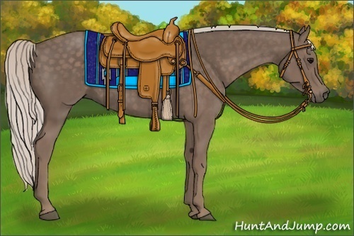 Horse Color:Silver Black 