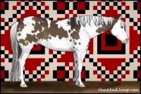 Horse Color:White Spotted Liver Chestnut Splash 