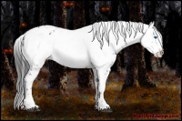 Horse Color:Black Frame 