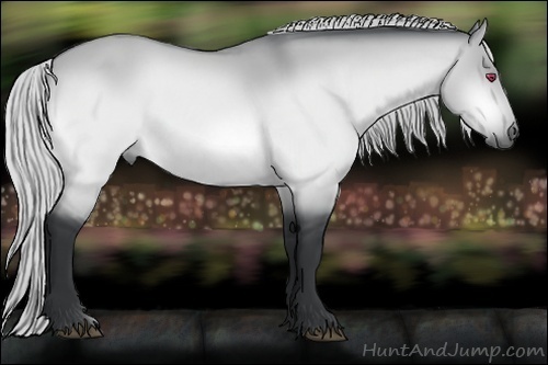 Horse Color:Silver Bay Chinchilla Dun 