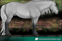 Horse Color:Silver Brown Chinchilla Dun