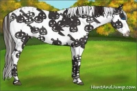 Horse Color:Liver Chestnut Frame 