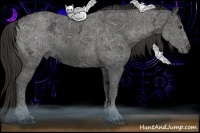 Horse Color:Liver Chestnut Ice 