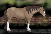 Horse Color:Classic Champagne 