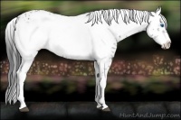 Horse Color:Black Frame 