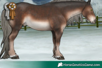 Horse Color:Liver Chestnut Mushroom 