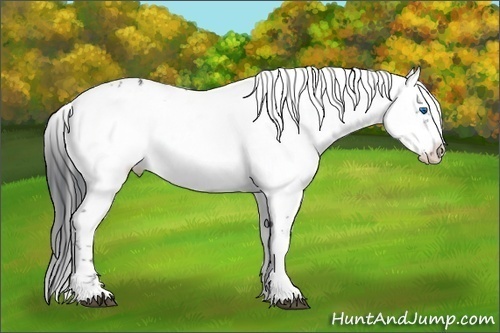 Horse Color:Black Frame 