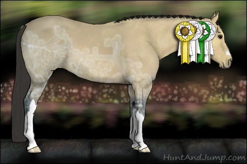 Horse Color:Buckskin Ice 