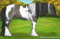 Horse Color:Grullo Tobiano 