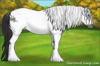 Horse Color:White Spotted Black Tobiano Frame 