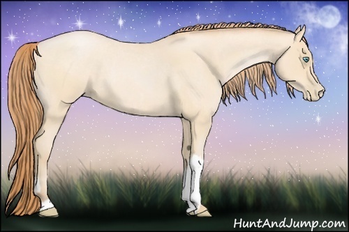 Horse Color:Buckskin Roan Pearl  and Buckskin Roan Pearl 