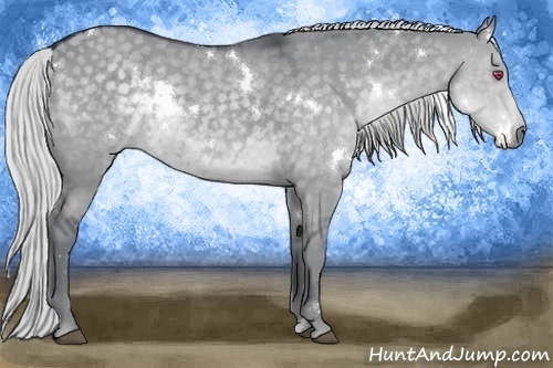 Horse Color:White Spotted Silver Grullo Chinchilla 