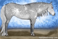 Horse Color:White Spotted Silver Grullo Chinchilla 