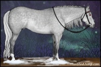 Horse Color:Silver Grullo Chinchilla Roan 