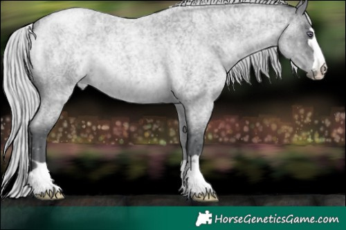 Horse Color:Silver Blue Chinchilla Roan 