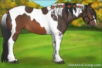 Horse Color:Brown Tobiano