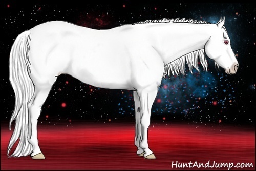 Horse Color:Silver Amber Champagne Chinchilla Appaloosa Rabicano 