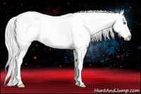 Horse Color:Silver Amber Champagne Chinchilla Appaloosa Rabicano 