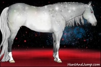 Horse Color:Silver Brown Chinchilla 