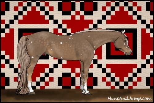 Horse Color:White Spotted Chocolate Palomino 