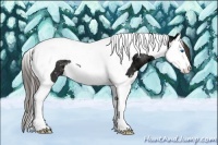 Horse Color:Liver Chestnut Ice Splash Tobiano 