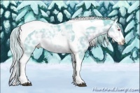 Horse Color:Watercolor Silver Grullo Chinchilla Ice Sabino Splash Tobiano 