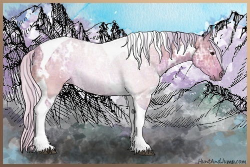 Horse Color:Watercolor White Spotted Silver Bay Ice Tobiano Rabicano