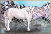 Horse Color:Watercolor White Spotted Silver Bay Ice Tobiano Rabicano 