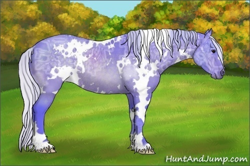 Horse Color:Watercolor White Spotted Silver Bay Ice Rabicano 