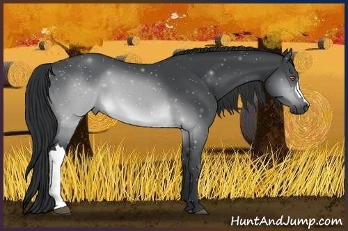 Horse Color:Brown Chinchilla