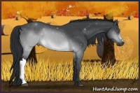 Horse Color:Brown Chinchilla