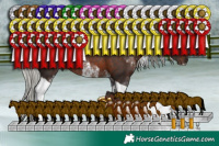 Horse Color:Silver Brown Tobiano  and White Spotted Silver Brown Tobiano 